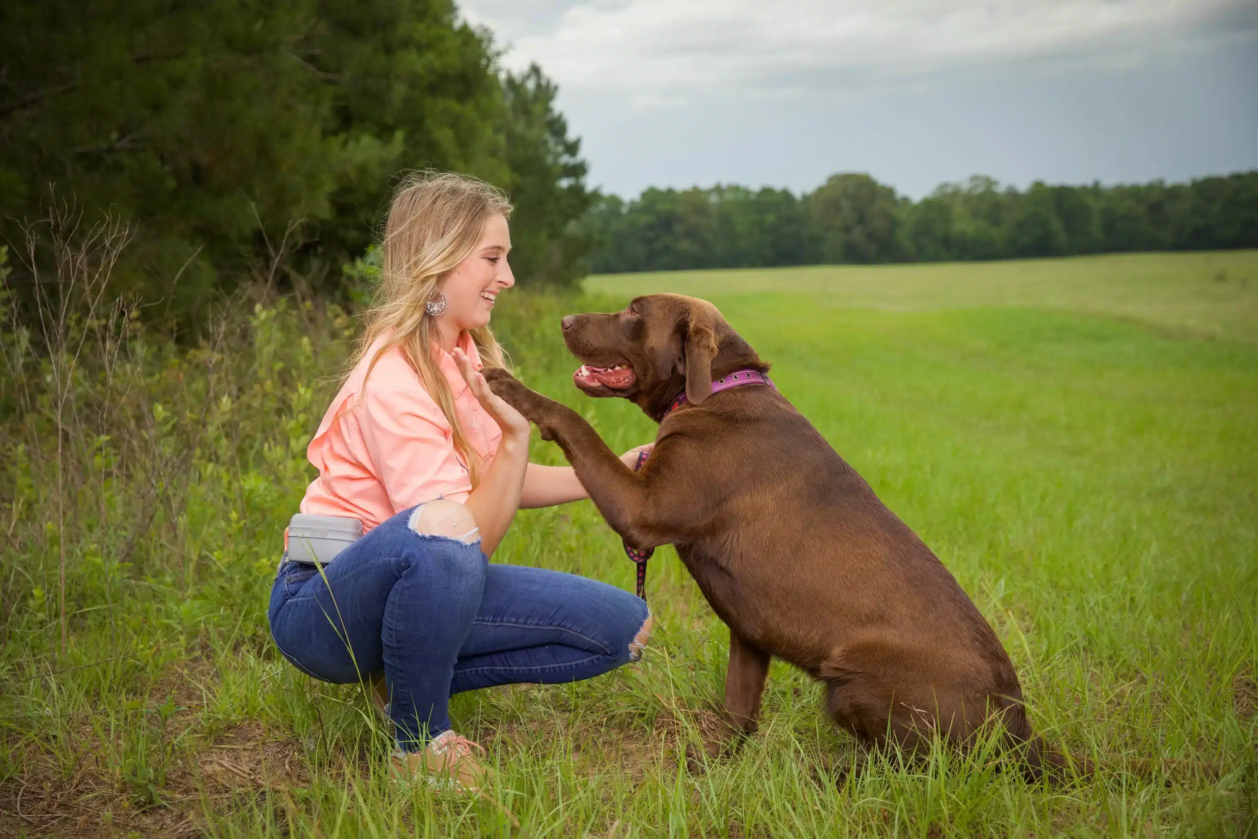 dog training